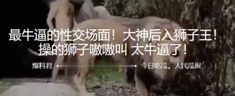  最牛.逼的性.交场面！后.入狮子.王！操的狮.子嗷嗷.叫 太牛 