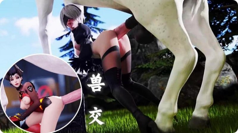  重口味！HMV兽交激情狂想曲 禁忌の交尾交响乐 3D